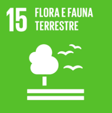 flora_e_fauna