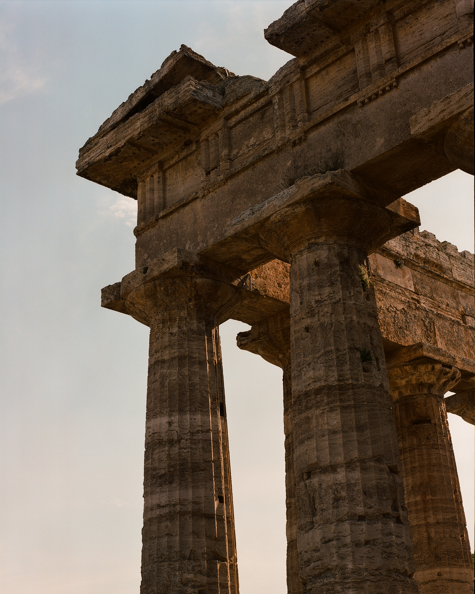 000057640005.jpgpaestum page IL CANNITO