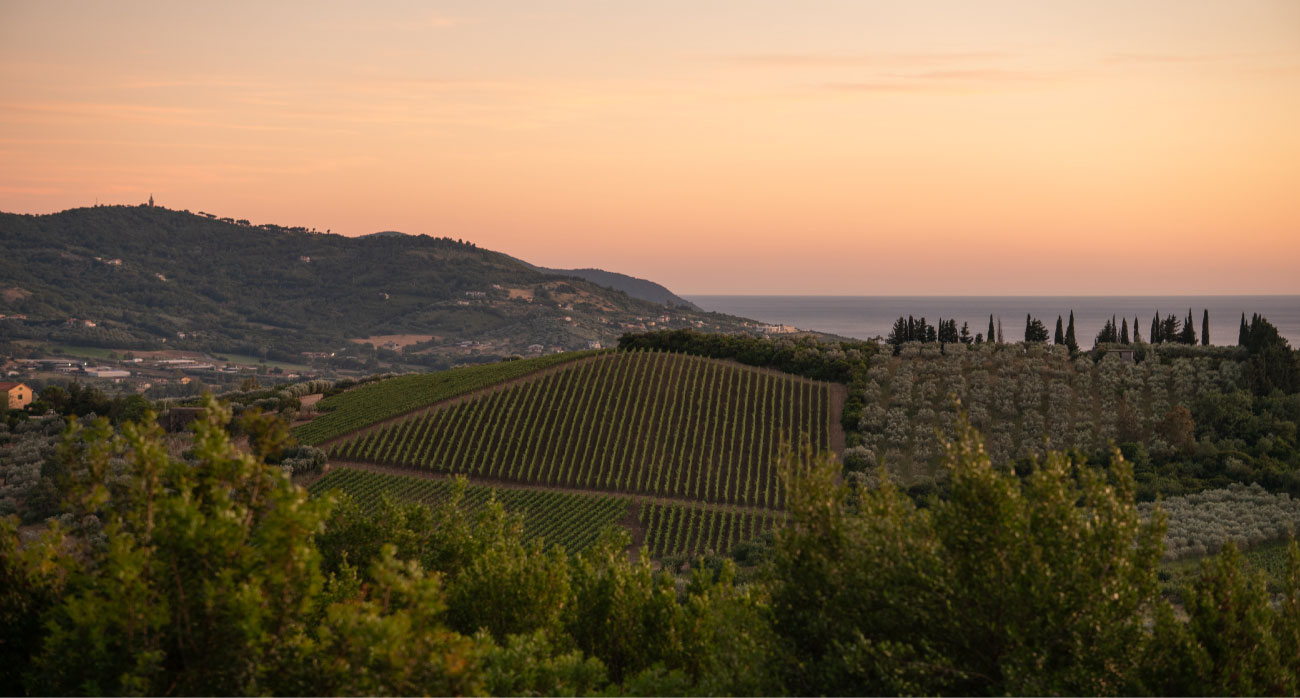 cannito-home-page-10